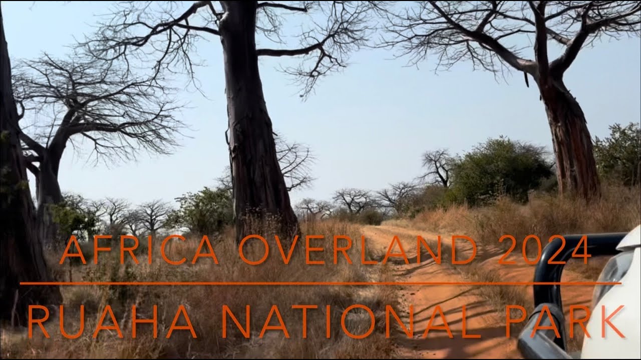 2024 - Ruaha National Park, Tanzania - 18 - 21 July 2024