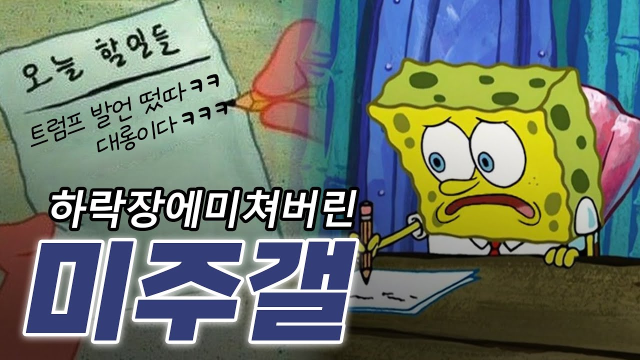 하락장에 미쳐버린 미주갤 근황