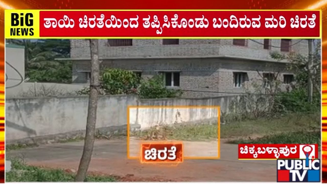 Leopard Cub Spotted At Gudibande Police Quarters Premises | Chikkaballapura | Public TV