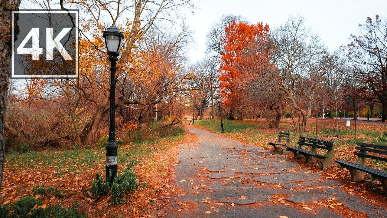 Relaxing Autumn Walk in Prospect Park, New York | Binaural Audio (City & Nature Sounds)