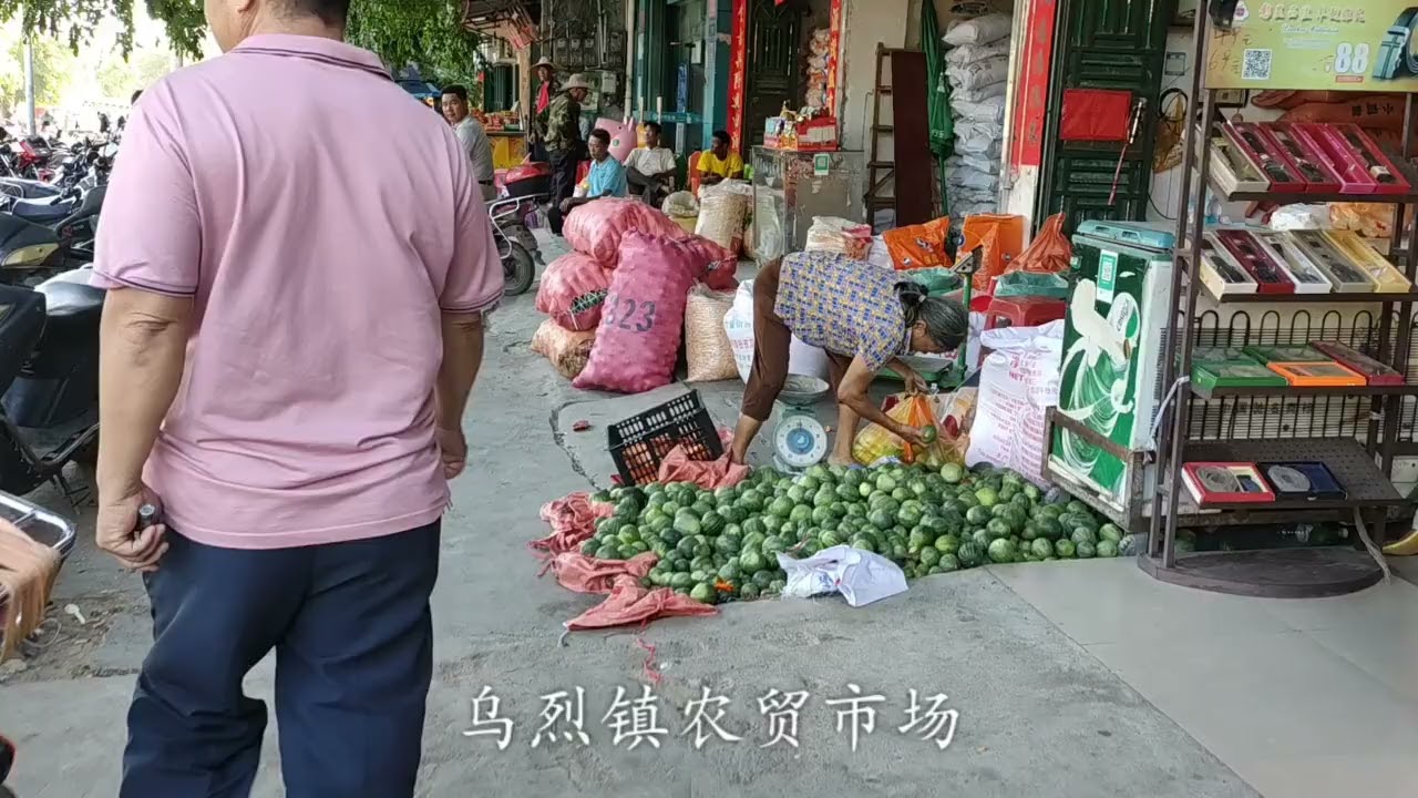 海南西部有个乌烈镇，这里农业发达，如同来到以色列 #记录真实生活 #vlog #幸福 #我的生活