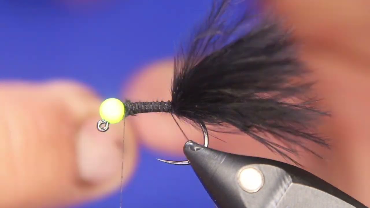 The Vampire Leech Jig