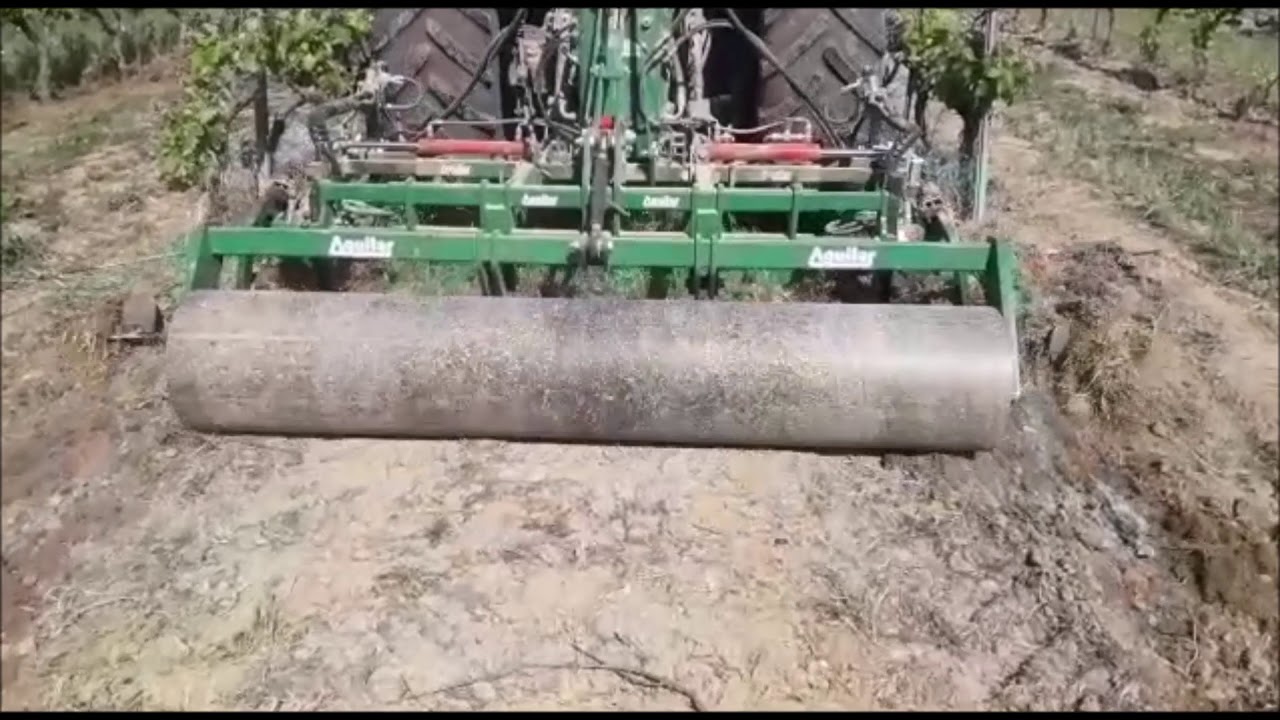 AGUILAR INTERCEPAS CON RODILLO 1