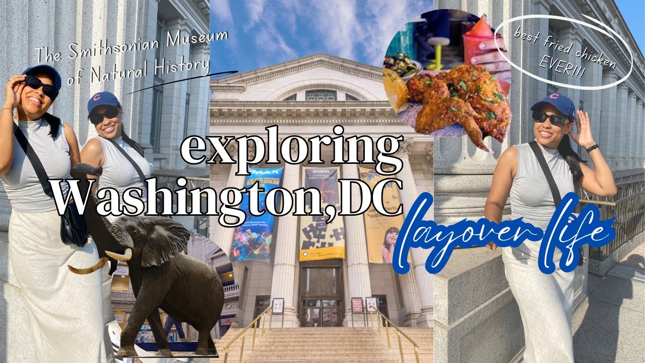 19 Hour Layover in Washington D.C. 🛩️🏛️🐾🍗visit The Smithsonian + BEST fried chicken ever!!!