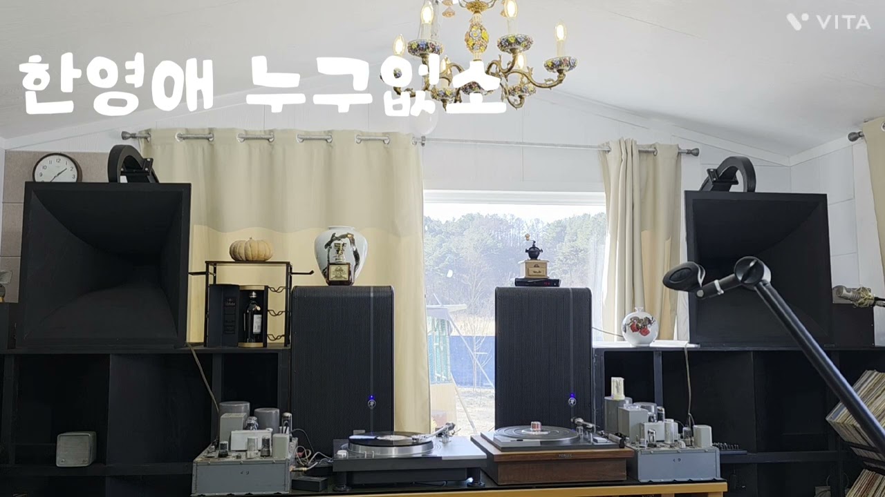 한영애 누구없소 !