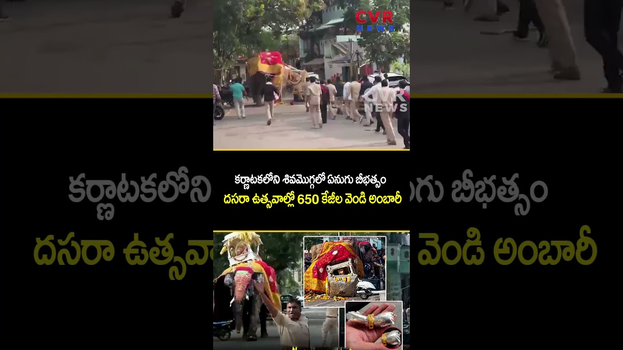 కర్ణాటకలోని శివమొగ్గలో ఏనుగు బీభత్సం | Elephant Runs In Dussehra Celebration In Karnataka Shivamogga