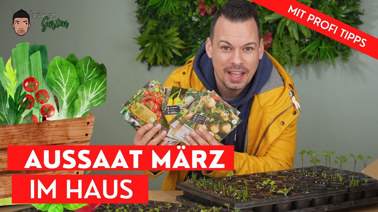 Gemüse- Aussaat im März - Die Voranzucht im Haus inkl. Profitipps ✔️
