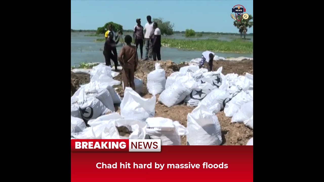 Desitdown News (Chad hit hard by massive floods) #desitdown #news