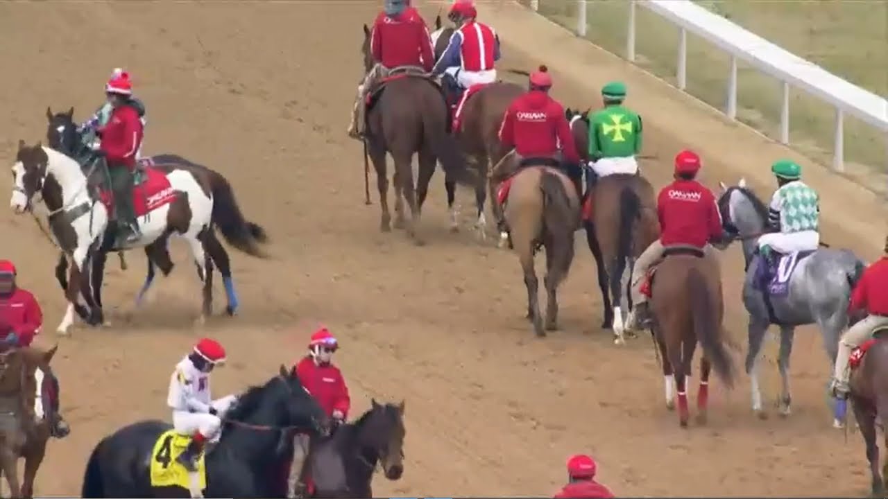 R 7 Oaklawn Park 08 Feb 2026