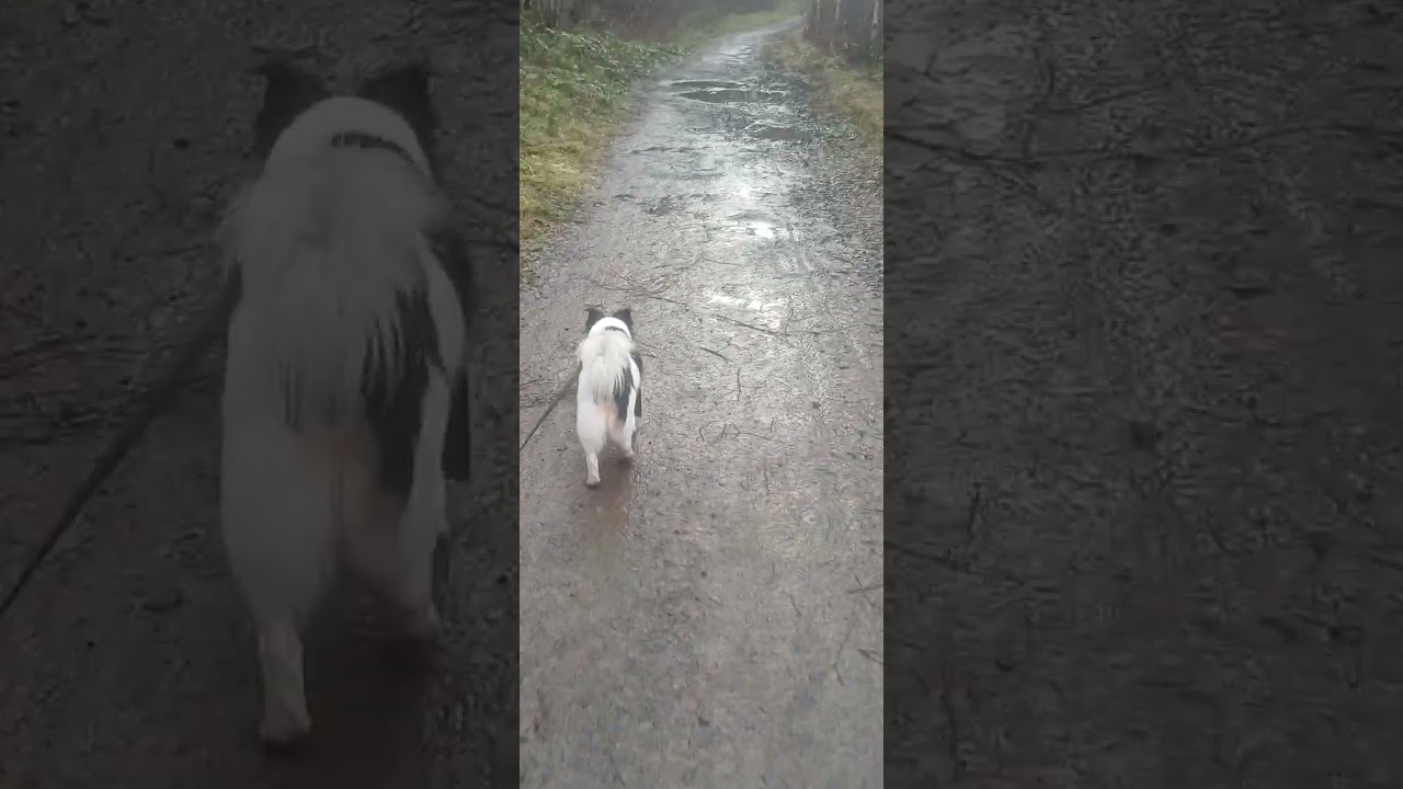 Quarry walk