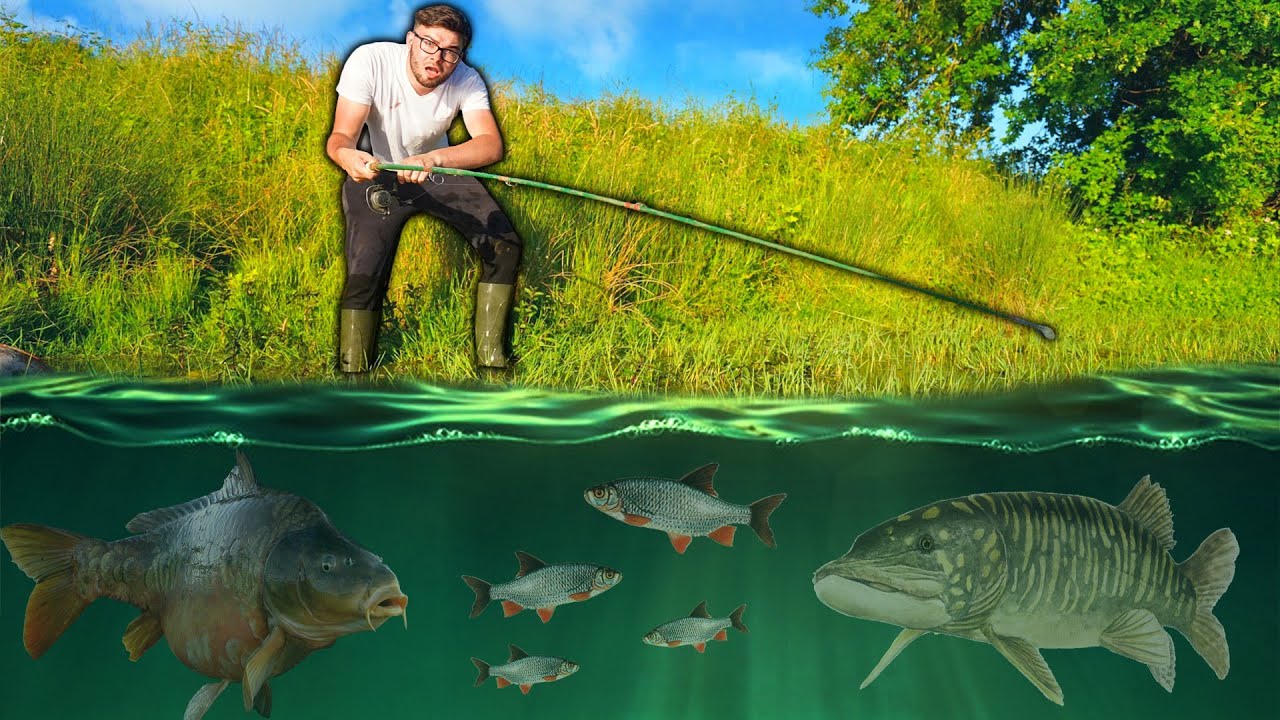 JE PECHE DES POISSONS DANS UN LAC ! (Brochet 1 mètre)