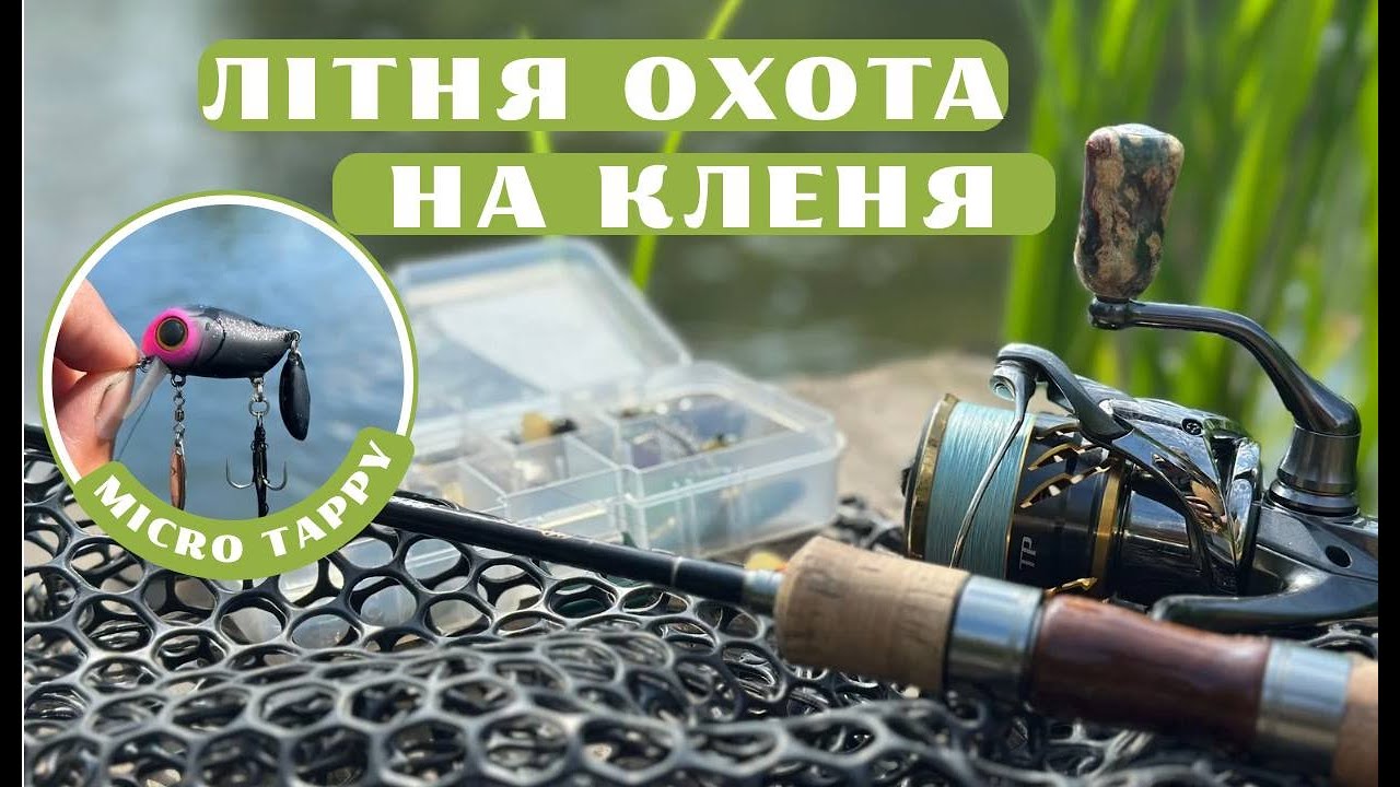 ЦЕЙ ВОБЛЕР ТВОРИТЬ ЧУДЕСА. Рибалка на кленя, р. Серет. Літо 2025