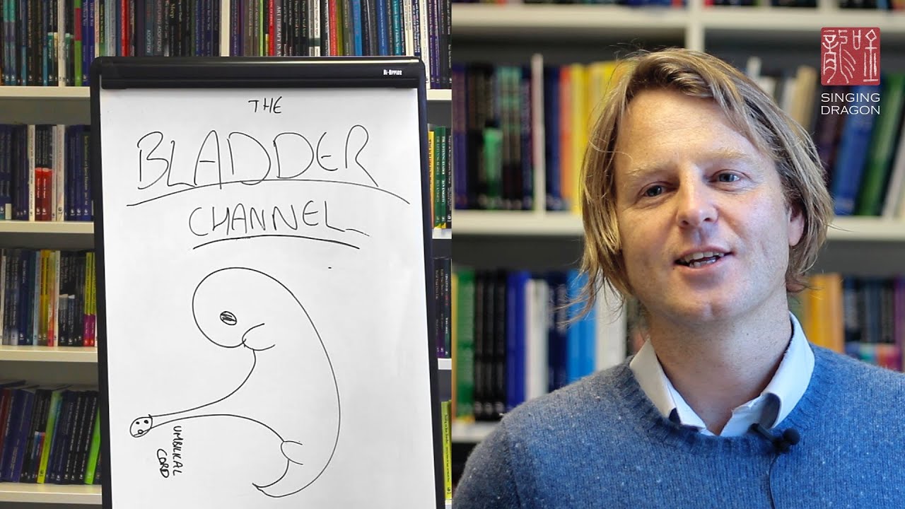 The Bladder Channel and Embryology