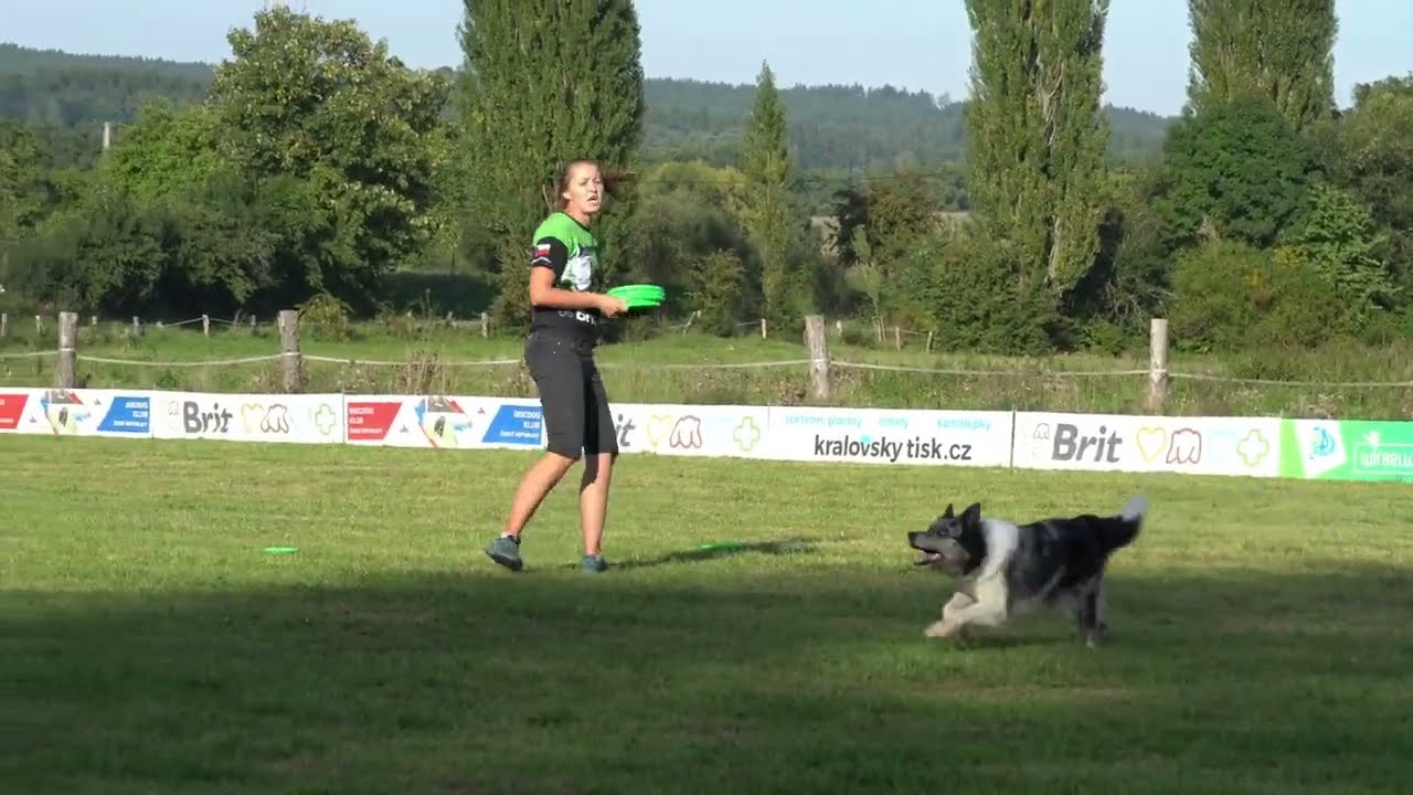 Mistrovství ČR v Dogfrisbee 2023- Alena+Foxy