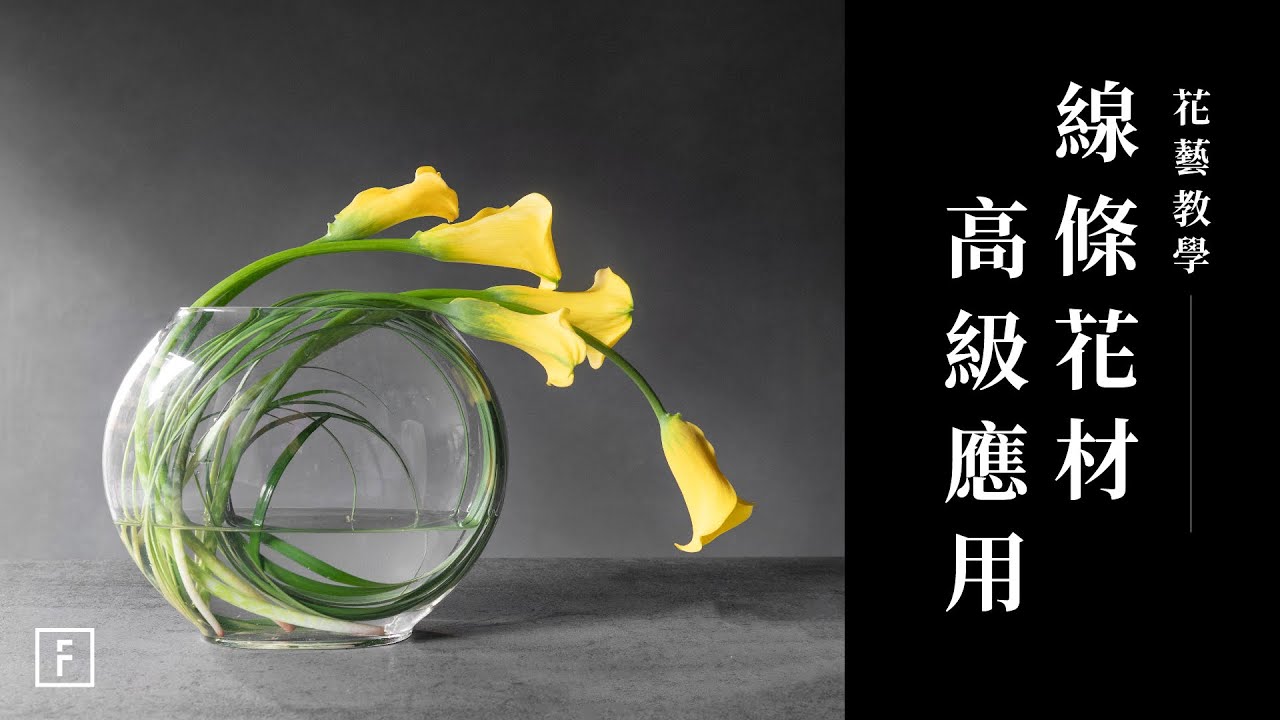 線條海芋捲葉插花！新手輕鬆營造兩種高質感花藝｜花藝教學｜花裡 FORi Flower