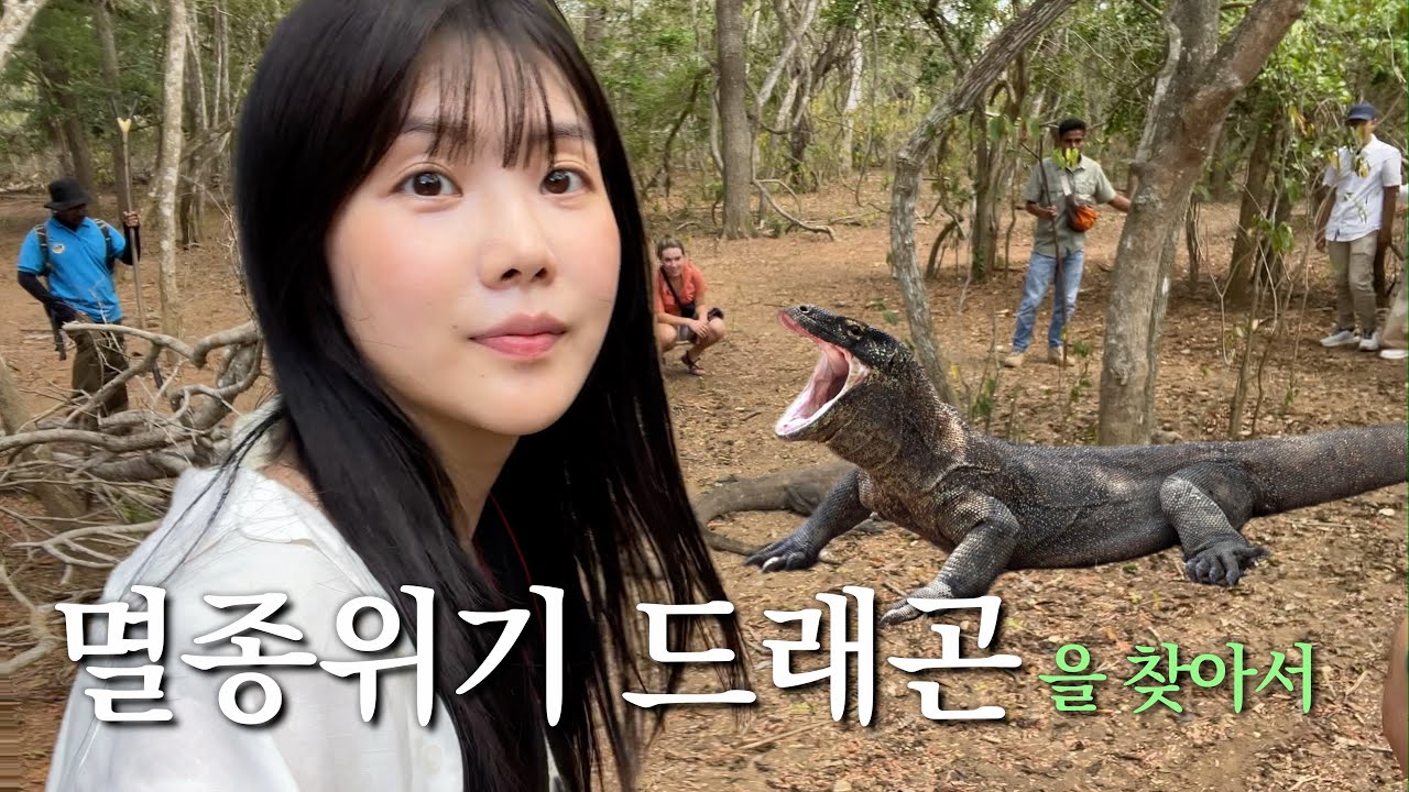 세상에 마지막 남은 용. 코모도드래곤 찾아가기 - [코모도섬]