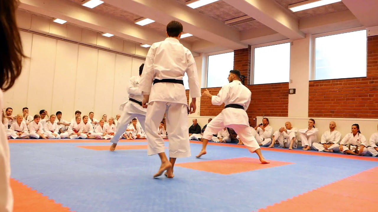 Jiyu kumite!