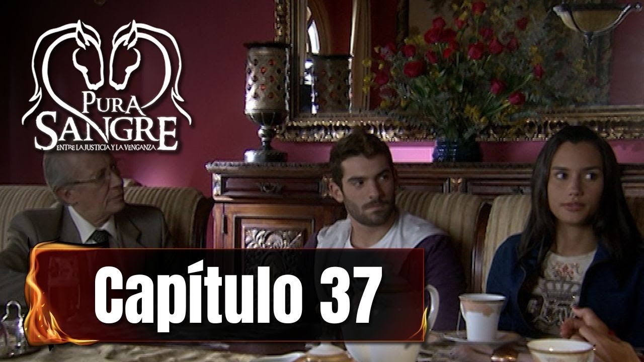 Pura Sangre | Capítulo 37 | Simón y Lucía preparan su boda