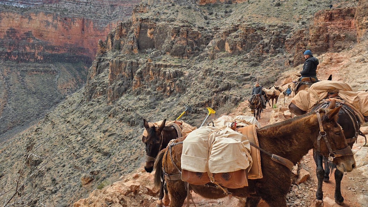 Into the Grand Canyon