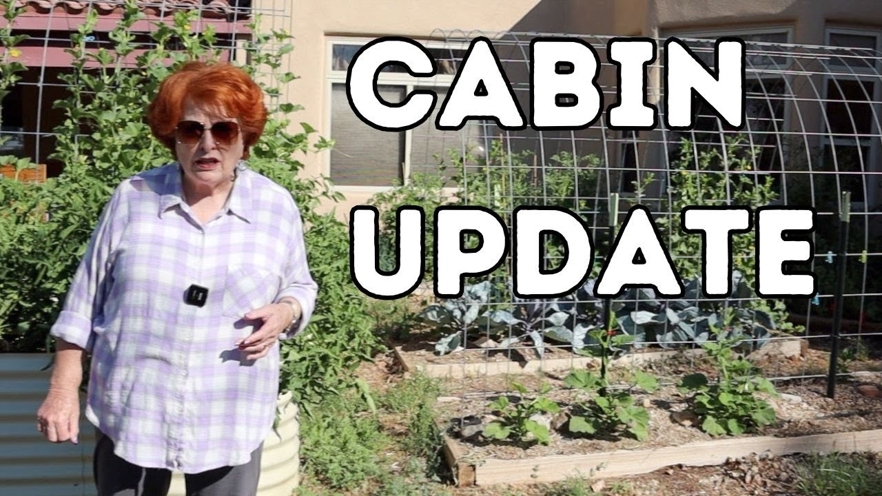 Cabin Update