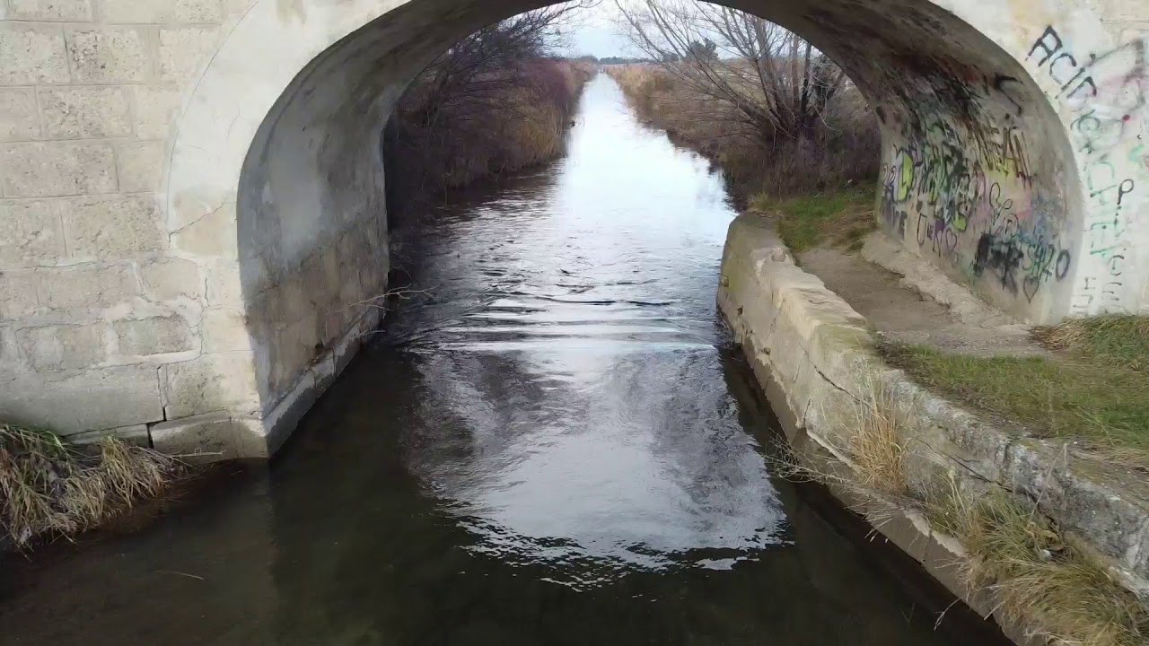Am 