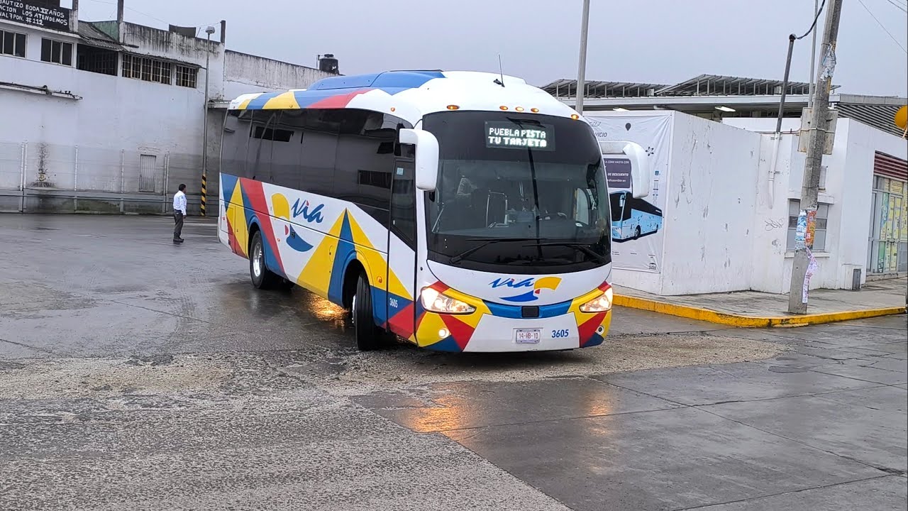 Autobuses linea VIA entrada y salida en sus diferentes servicios y destinos