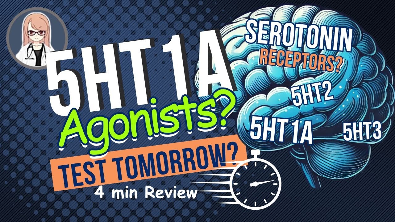 【For Beginners】Serotonin Receptors & 5HT1A Agonists : 📚 Last-Minute Med School Review