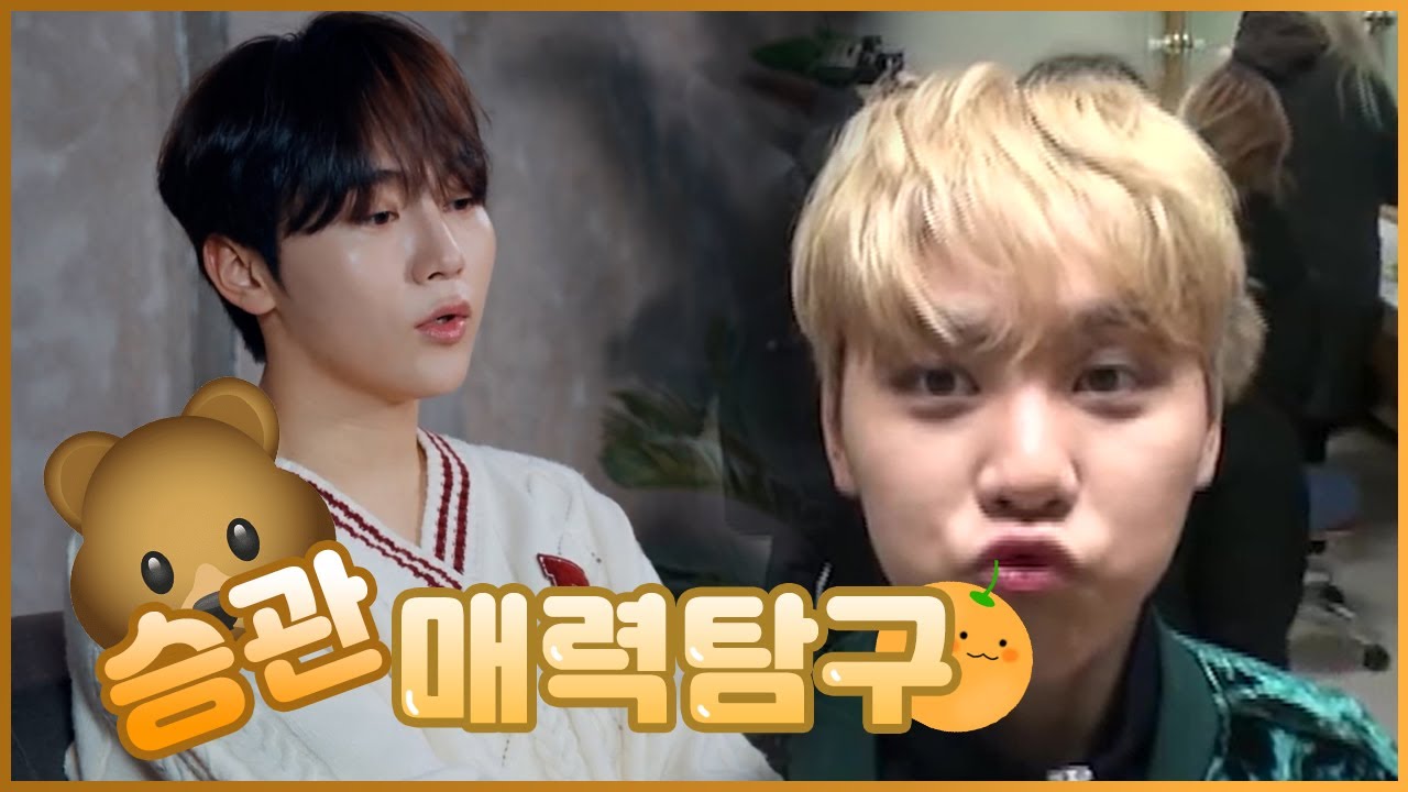 [세븐틴/승관] 캐럿들의 뿌랑둥이 승관 매력탐구 | #더_찬란하게될_승관이의_스물넷 #Go_SEUNGKWAN_Day
