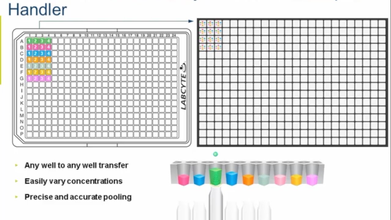 Synthetic Biology with the Echo® Liquid Handler: Randy Dyer, Director of Product Marketing