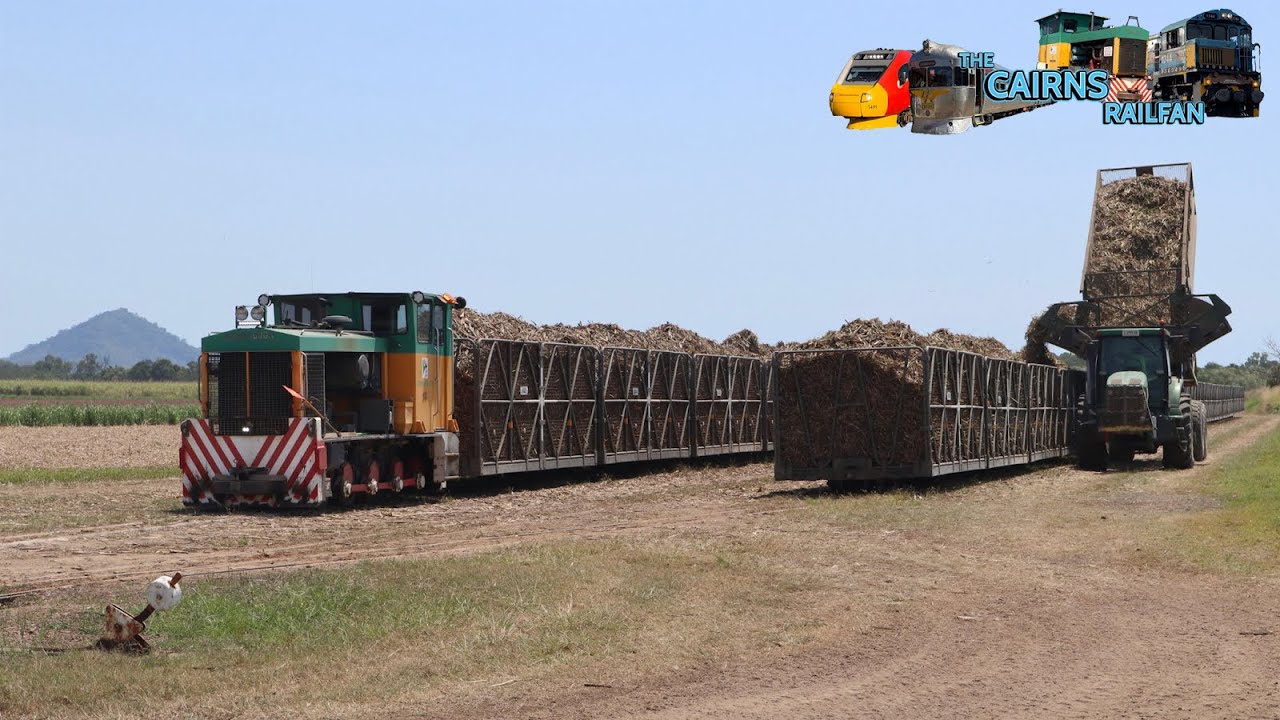 Mulgrave Mill Cane Train Action in Redlynch | The Cairns Railfan