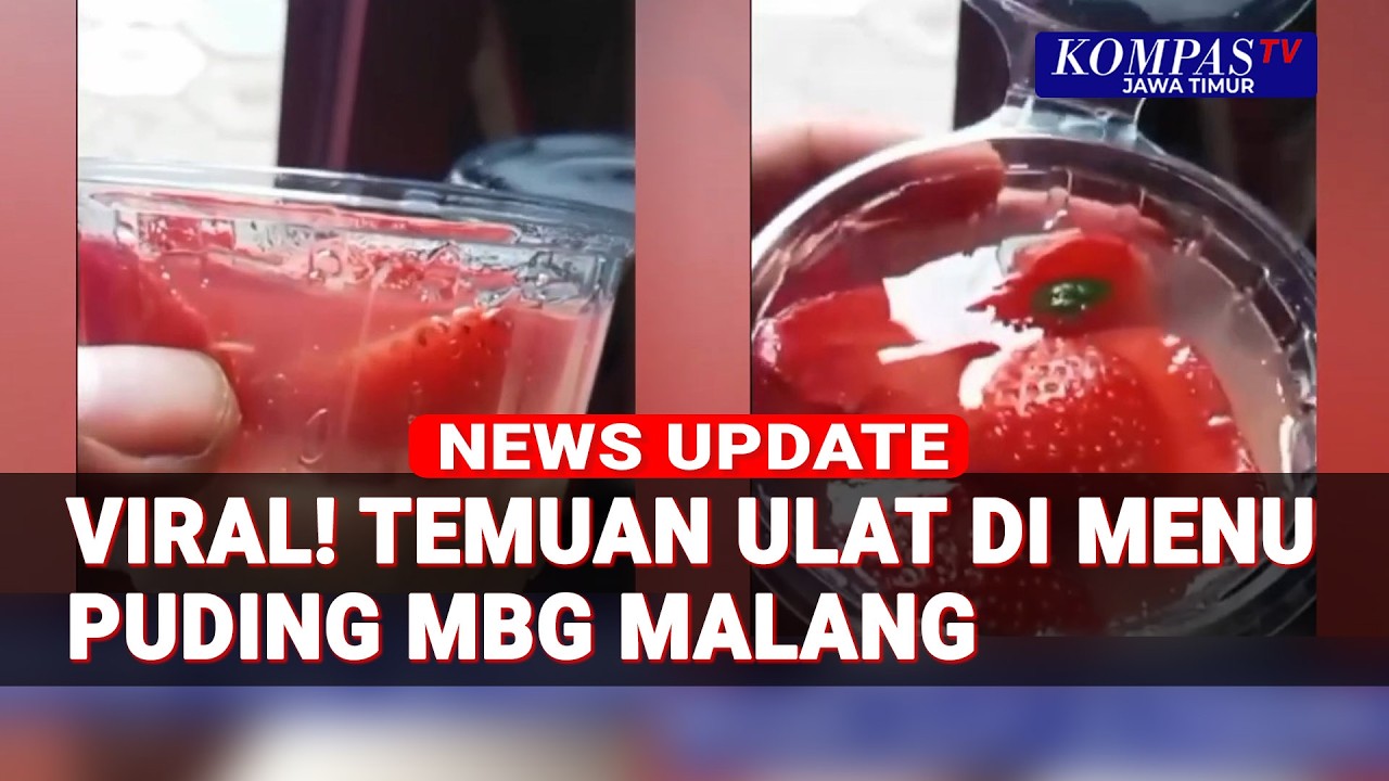 Viral! Ulat di Puding Menu MBG di SDN Tunjungsekar 3 Malang, Sekolah Tarik Seluruh Puding
