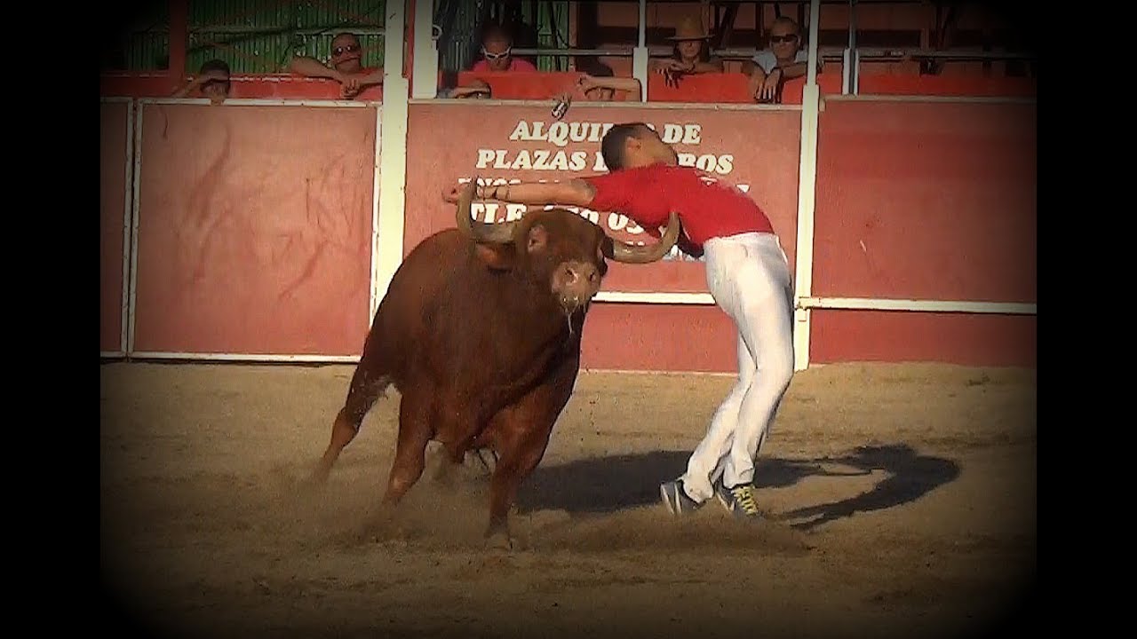Concurso de Cortes Aldeamayor 2018