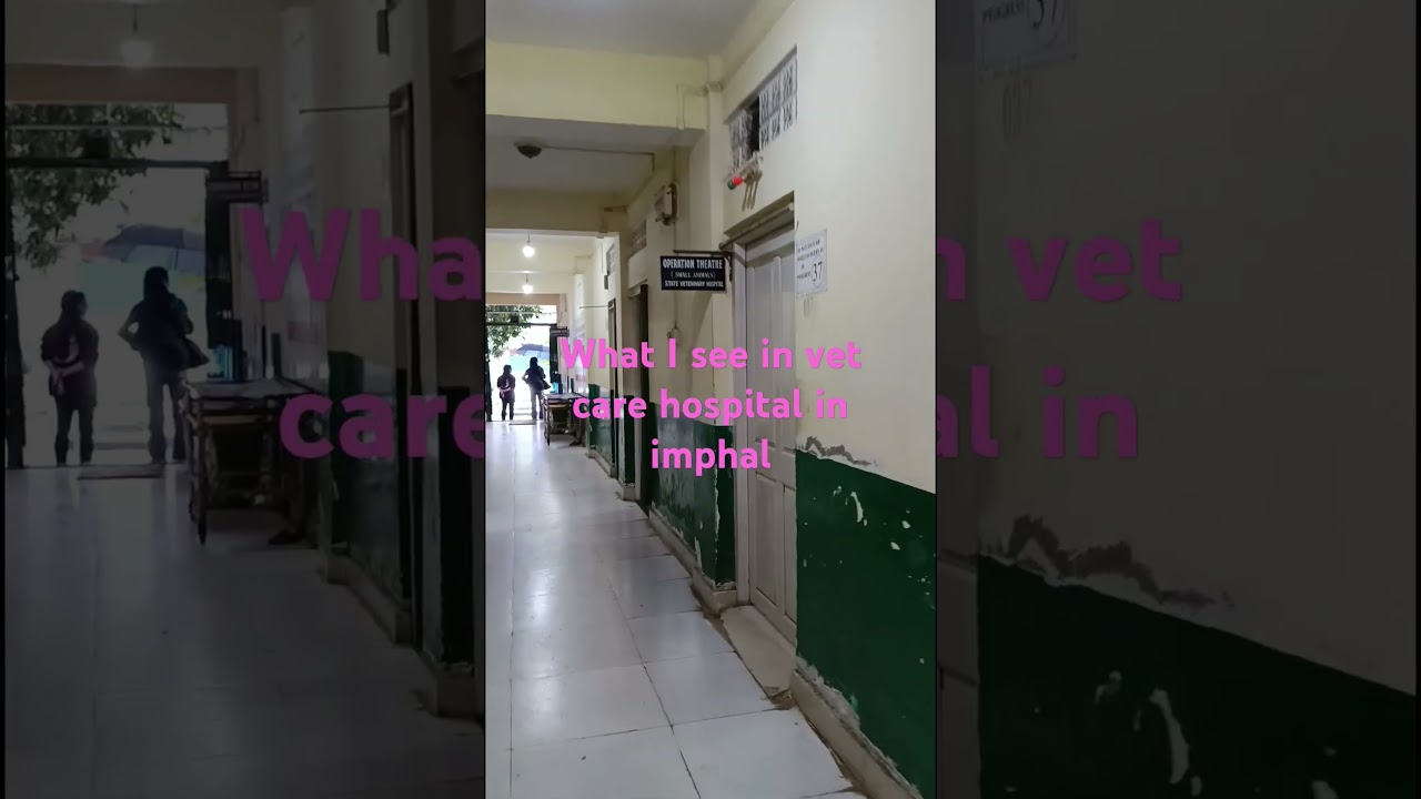 this is imphal vet hospital....next will be ukhrul district hospital....u can see the dffrnce urself