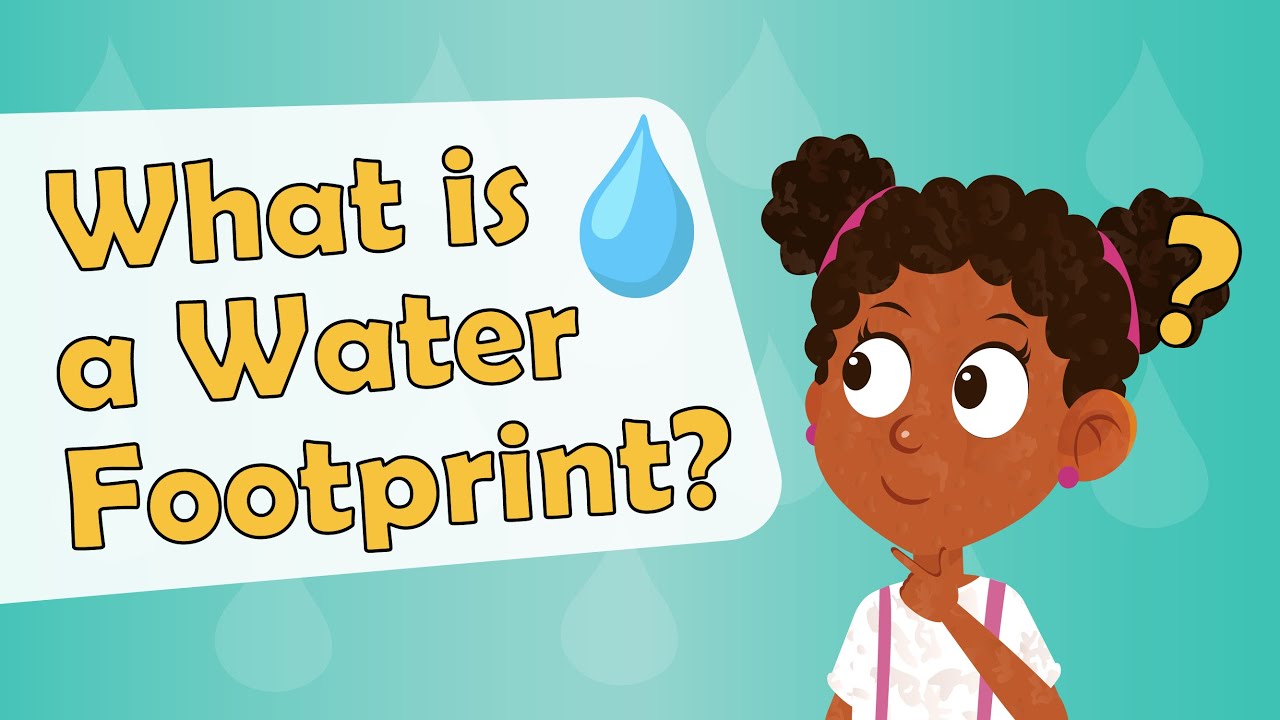 What is a Water Footprint? | Environment Facts for Kids | Sustainability Facts for Kids| Water Waste