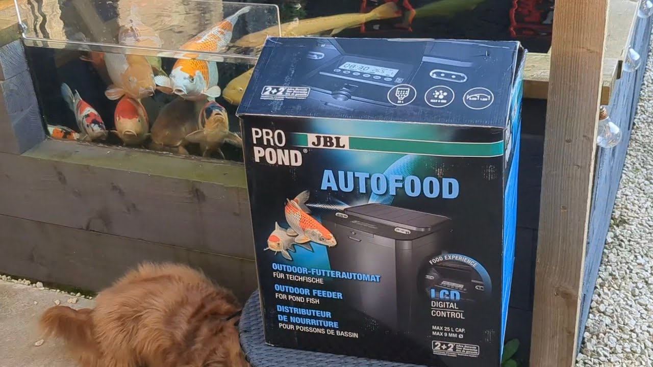 New JBL Pro Pond auto feeder