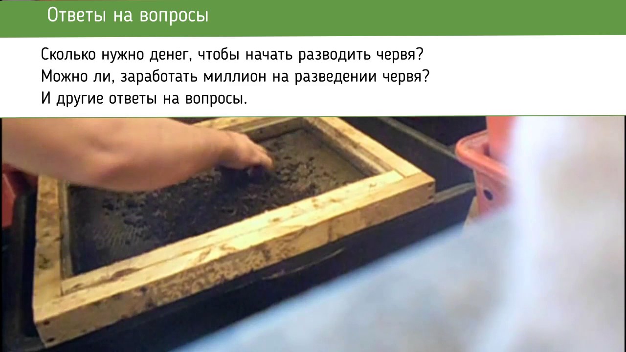 Этого вам никто не скажет/Сколько нужно денег для начала/Разведение червя дендробена