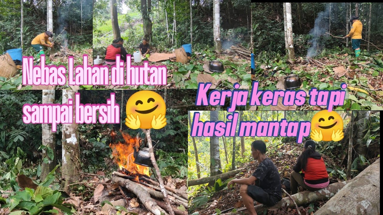 Kegiatan kita Seharian Nebas Lahan di Tengah Hutan !!! 