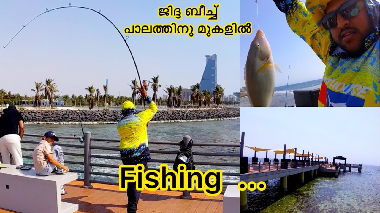 Fishing  jeddah | #fishing #malayalam #fishingequipment  @KL10VLOG.360