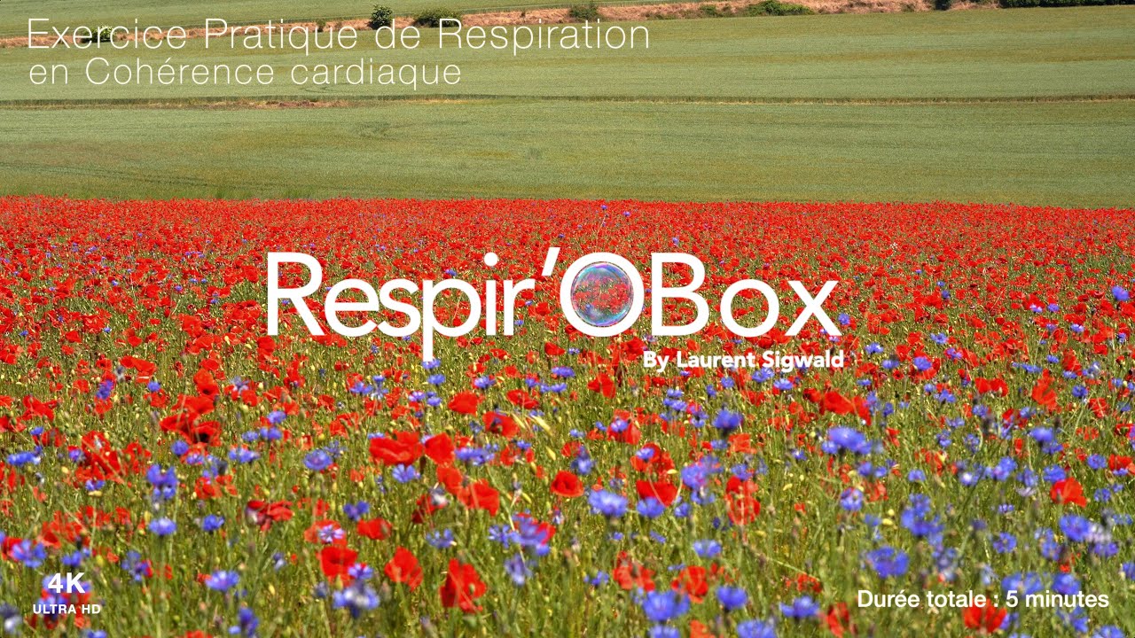 Exercice de respiration by Laurent Sigwald Respir'OBox - Champs de Coquelicots.