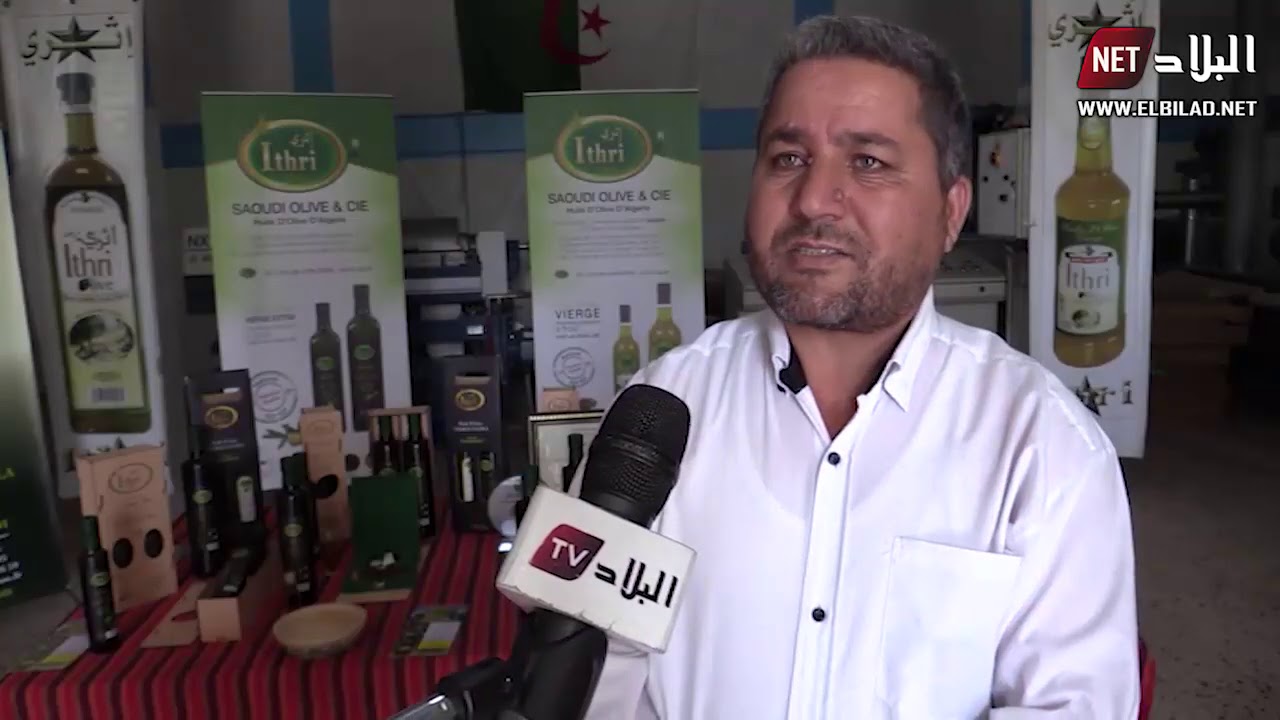 البويرة : تصدير أولى دفعات زيت الزيتون نحو الأسواق الخارجية