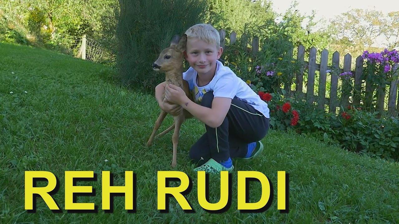 Reh 💖 RUDI