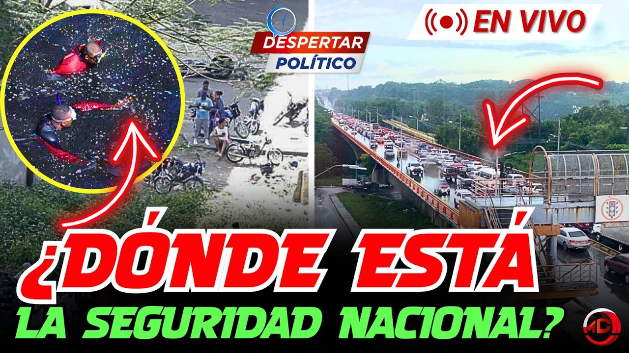 ¿DONDE ESTA LA SEGURIDAD NACIONAL?