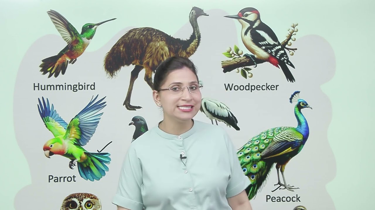 Ch 8  | Birds | My Gk & Moral Book | Class 0 | Growing Mind | For children