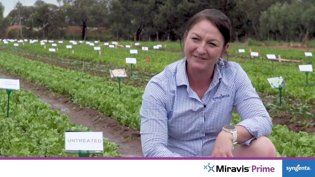 Coming soon | New fungicide MIRAVIS&reg; PRIME