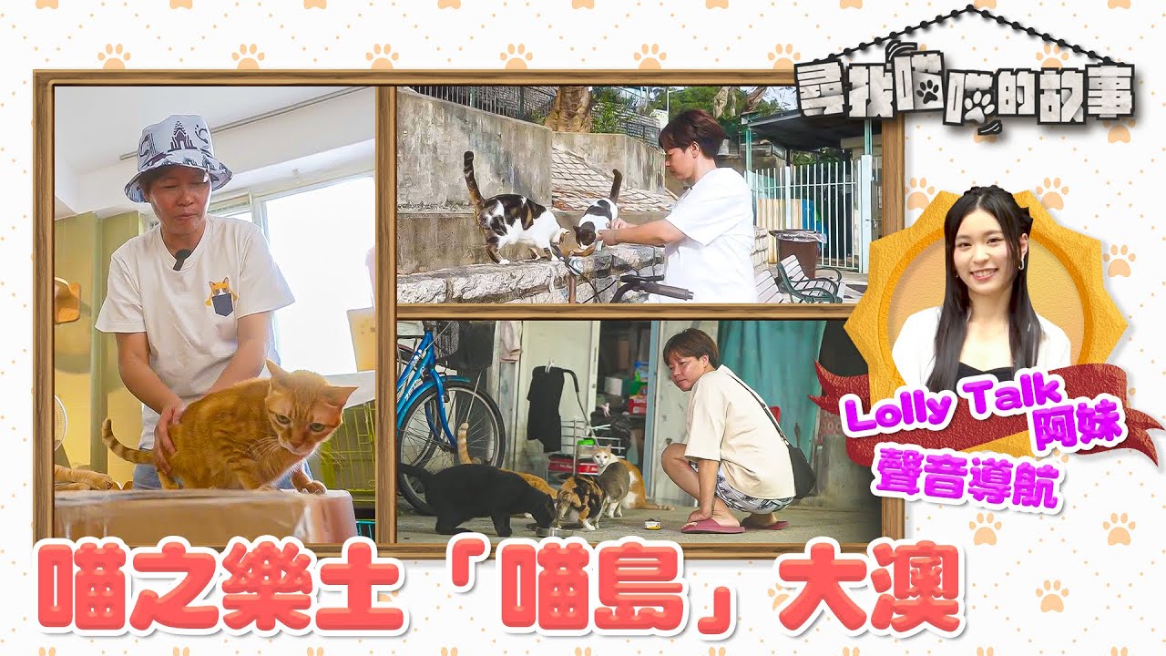 尋找喵喵的故事 ｜EP6 PT1｜ Lolly Talk 阿妹聲音導航 喵之樂土「喵島」大澳 ｜ Lolly Talk  ｜ HOYTV