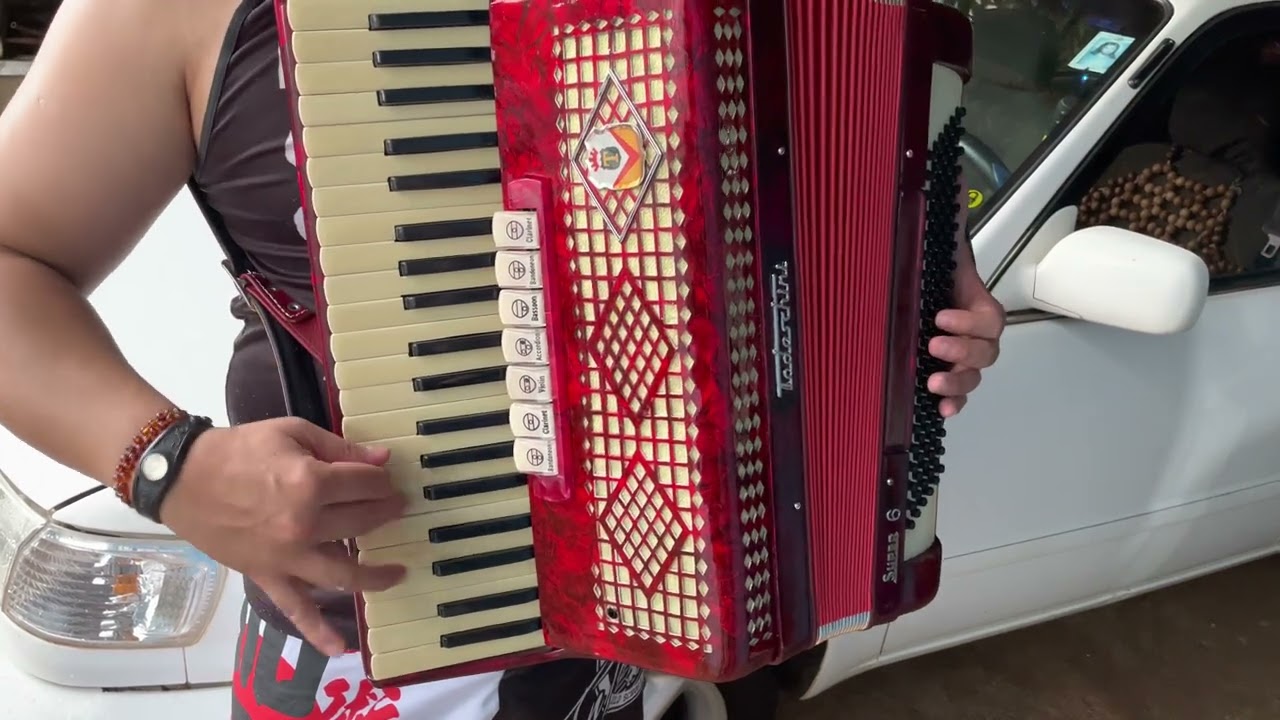 Acordeon Scala Vozes Vendido