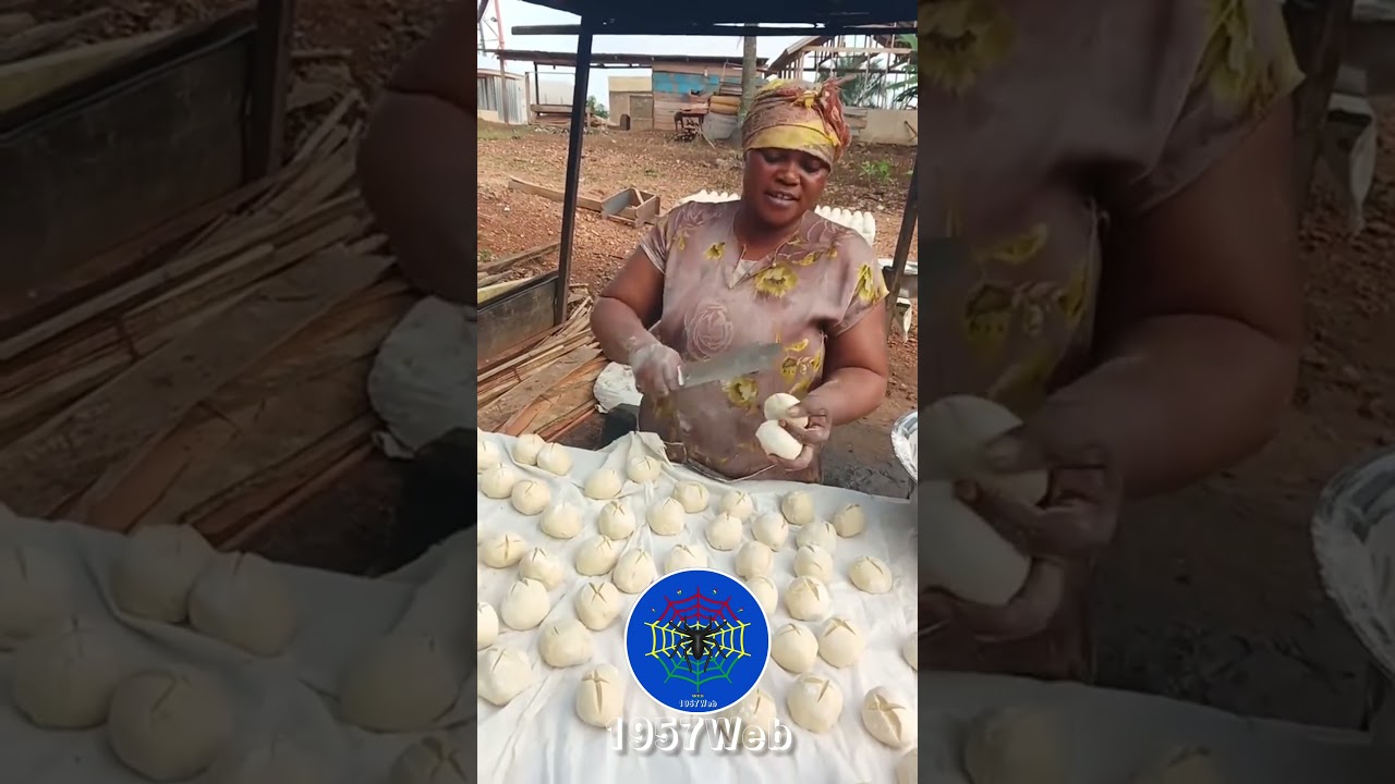 &ldquo;Join NPP&rdquo; - Woman Rallies Support for Party