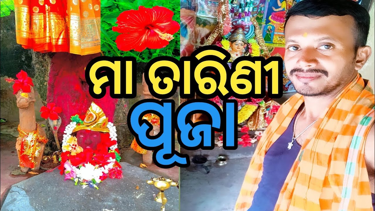 ମା ତାରିଣୀ ଙ୍କ ପୂଜା କଲି କିପରି # tarinimaa#audiance #bhakti #odishaculture #ghatgaon #kamarpal#maa