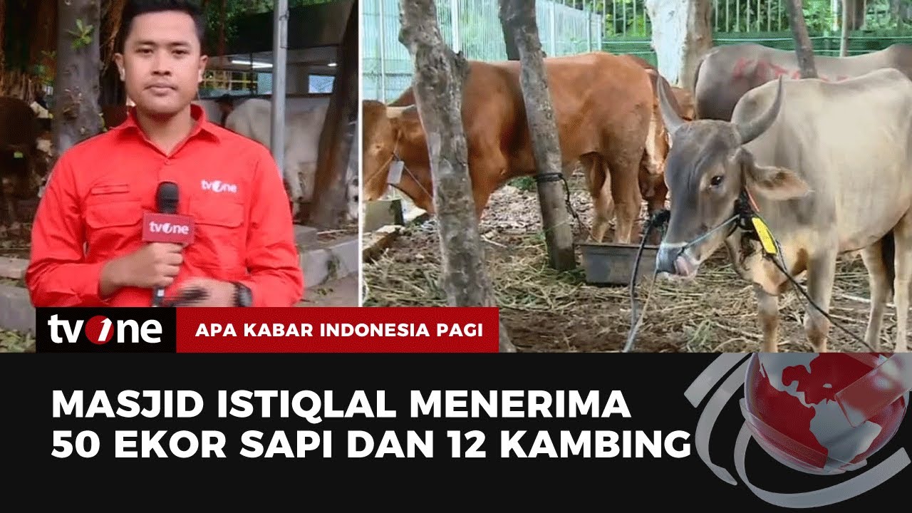 Penyembelihan Hewan Kurban di Masjid Istiqlal | AKIP tvOne