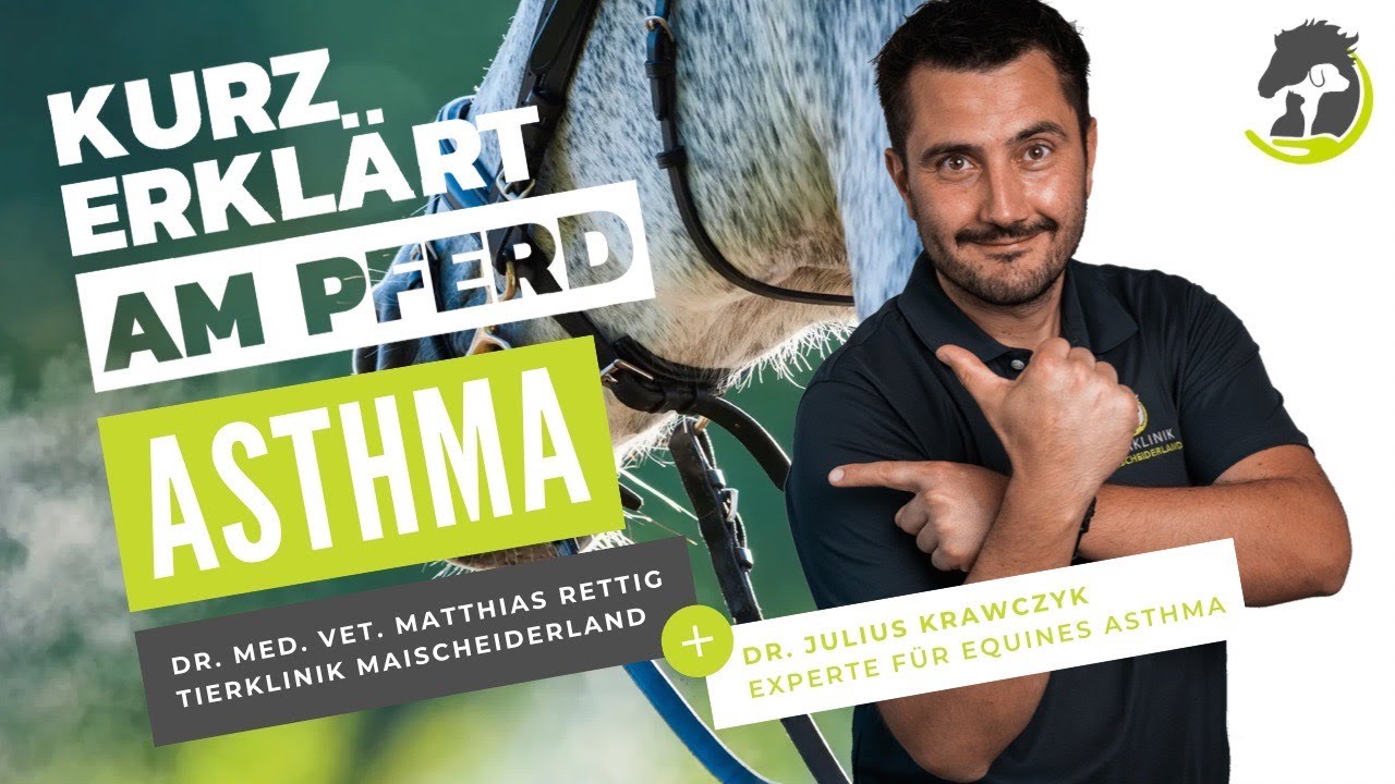 EQUINES ASTHMA - Symptome, Diagnose und Behandlungsmöglichkeiten - Kurz erklärt am Pferd!